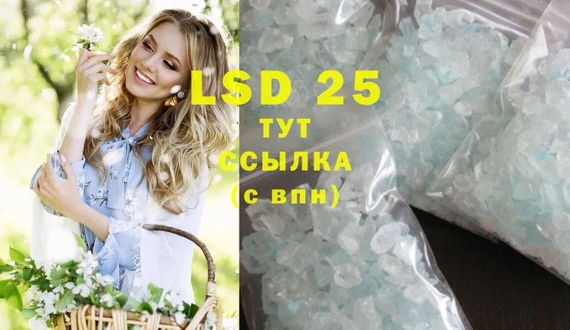 blacksprut ССЫЛКА  Зубцов  Лсд 25 экстази ecstasy 